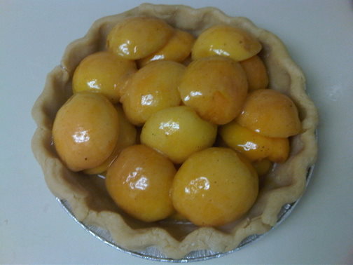 Apricot Pie