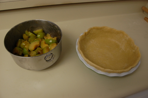 Greengage Pie