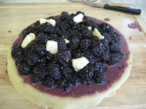 Blackberry Pie